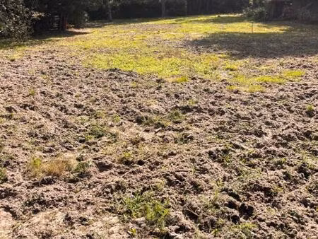 terrain à bâtir à la brède (33650)