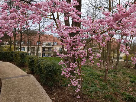 achat appartement 4 pièces 84m²