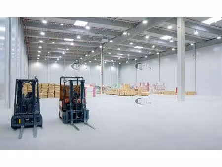 local d'activité avec bureaux de 634 m² à vendre - collégien (77)