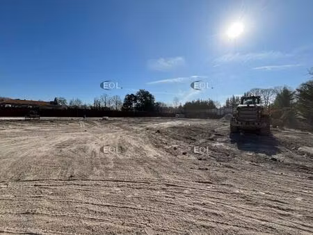 a louer entrepôt avec terrain