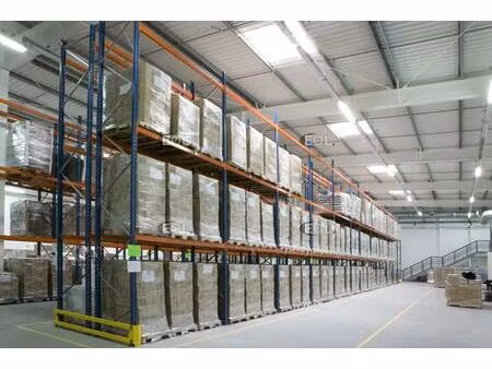 a louer - entrepôt avec bureaux de 6 863 m² à lognes (77)