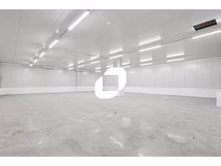 a louer  locaux d'actvité avec chambres froides positives