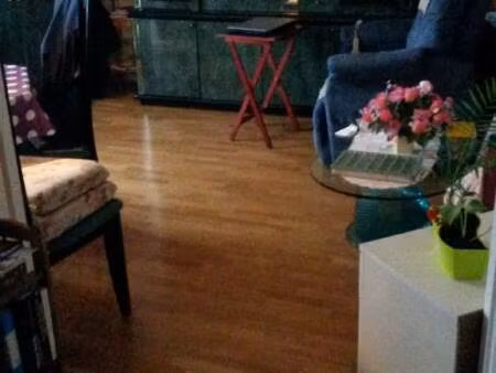 location appartement 2 pièces 41 m² à orsay (91400)