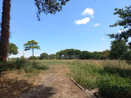 vente terrain à rennes (35000) : à vendre / rennes