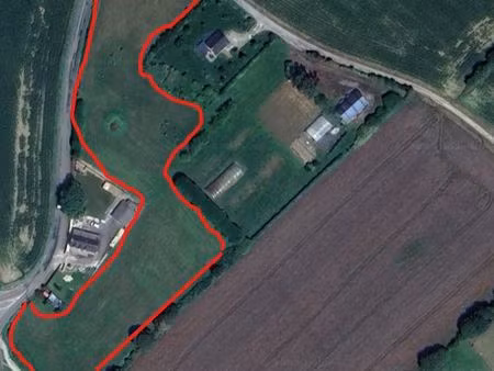 champ à disposition pour animaux (1.5 ha)