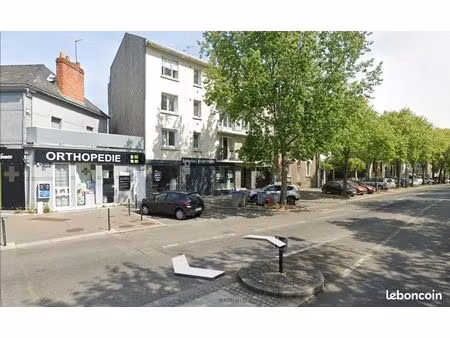 appartement t4 nantes centre