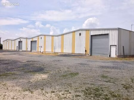 local professionnel 280 m2 avec bureaux commerciaux +70 m2 supp