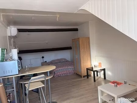 studio meublé 21 m2