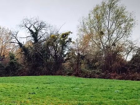 terrain 812 m² perrex