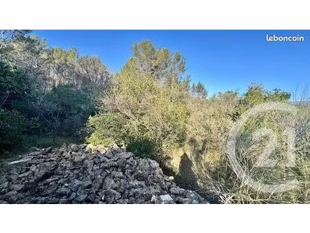 terrain 1 225 m² sollies toucas