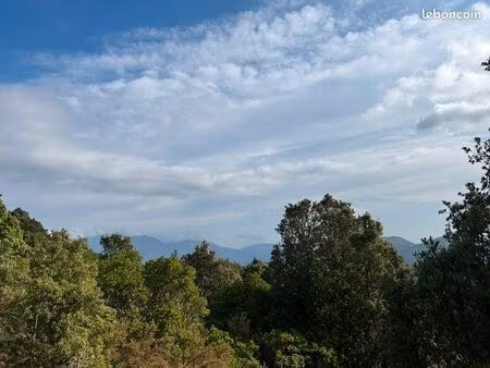 gde parcelle boisée en hauteur de santa maria siche
