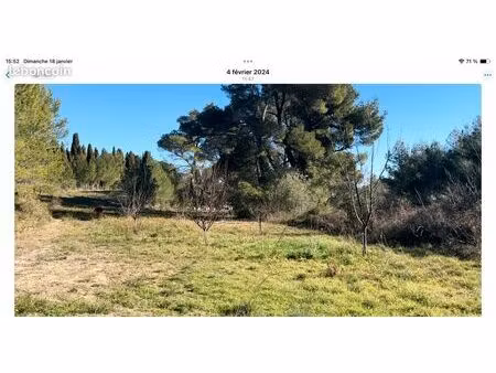 rare très joli jardin cloturé avec partie potager/eau peyriac de mer
