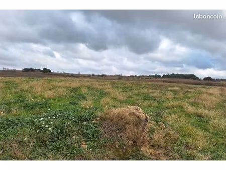 terres agricoles 25000 m2