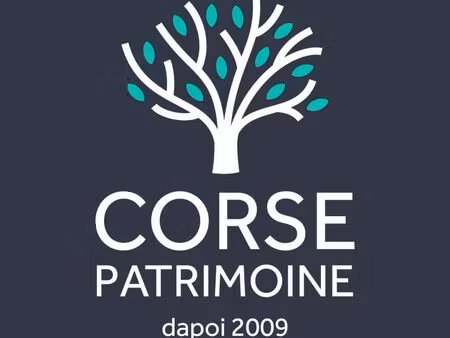 immeuble 265 m² propriano