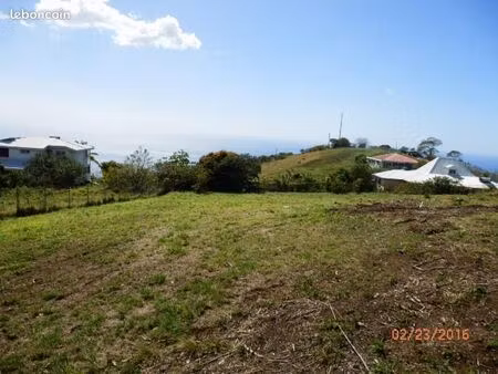 vends terrain martinique nord caraïbes