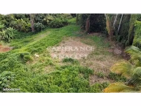terrain 2 500 m² le lamentin