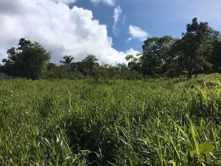 terrain jeanne d'arc le lamentin