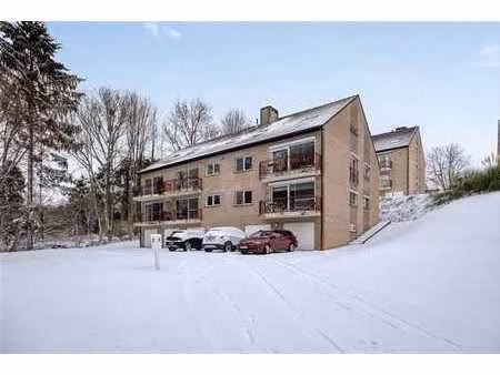 appartement coup de coeur 1 chambre avec terrasse et garage