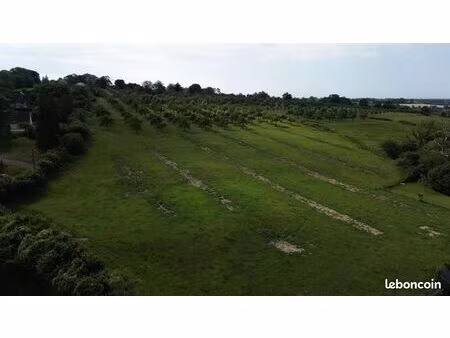 terrain 775 m² cambremer