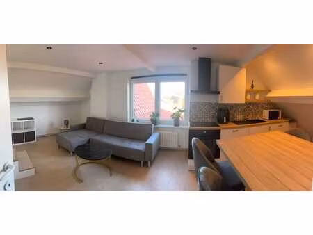 appart duplex 1 chbre meublé - option parking  accès jardin