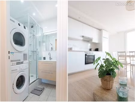 appartement entier idéal colocation à saint denis