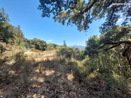 terrain 2 366 m² riventosa