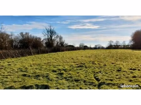 terrain constructible