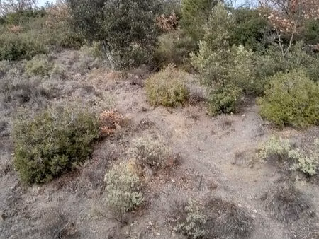 terrain constructible