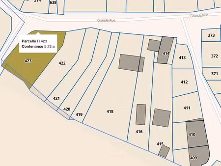 terrain constructible
