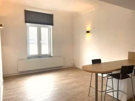 joli appartement rénové faibles charges-immeuble de caractèr