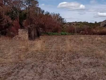 terrain agricole avec cabanon