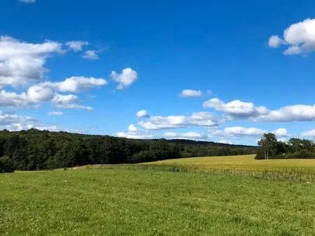terrain à batir - signy le petit