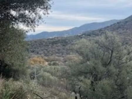 vente terrain en haute corse (balagne)