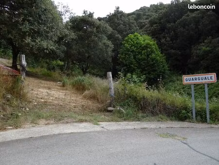 terrain 3800 m² guarguale 20128
