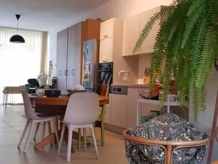 duplex 1 chambre avec terrasse et jardin