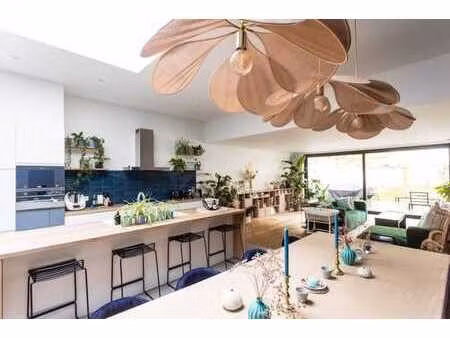 superbe duplex avec jardin