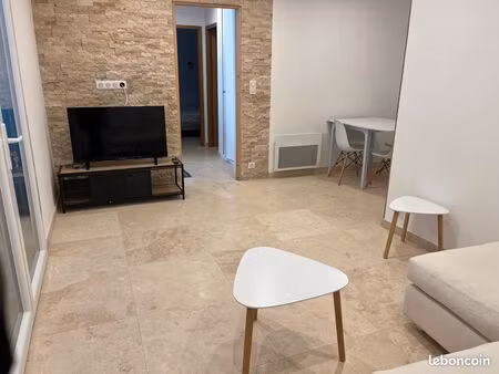 appartement meublé  rénové avec jardinet et terrasse