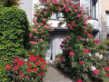 bois de la cambre: grande bifamiliale (1 duplex et 1 triplex