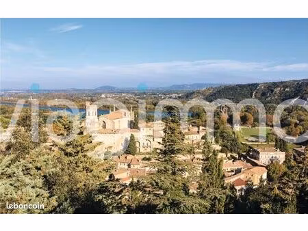 maison en viager 10 pièces 425 m²