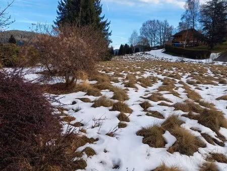 terrain constructible