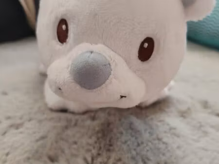 je recherche un terrain agricole