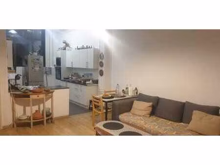 appartement lumineux 2 ch + jardin (quartier européen)