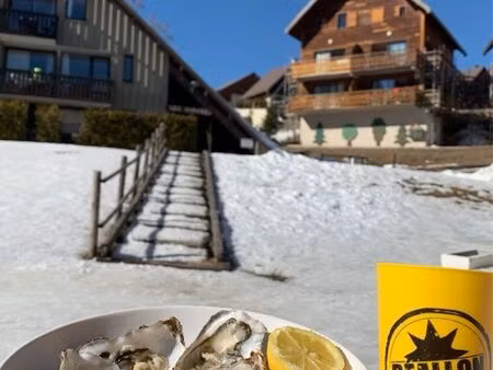 appartement en rez de jardin - cœur de station