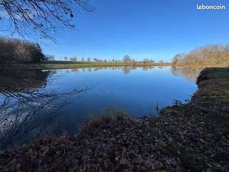 etang et bois archignat
