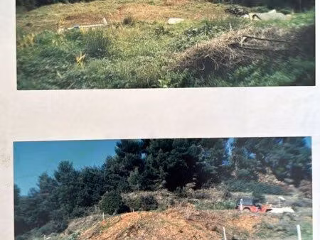 loue terrain 8000m2 vue sur mer