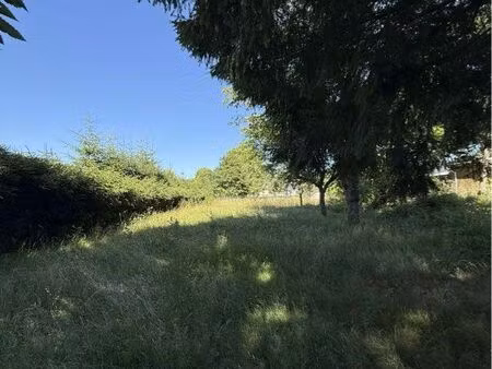 terrain constructible