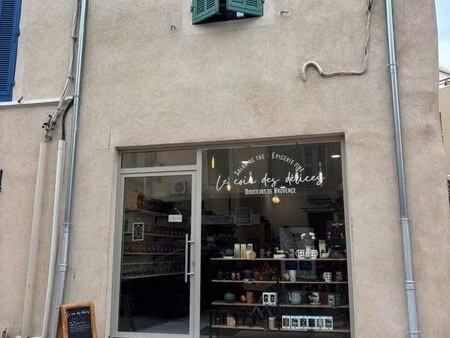 immeuble entier commerce + appartement avec terrasse