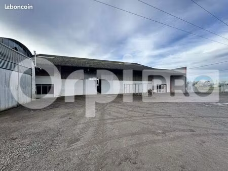 local d'activité 542 m²