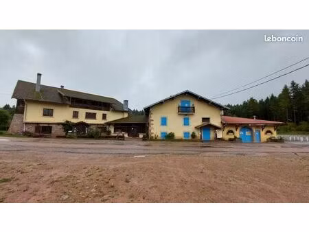 immeuble 3 293 m² girmont val d ajol