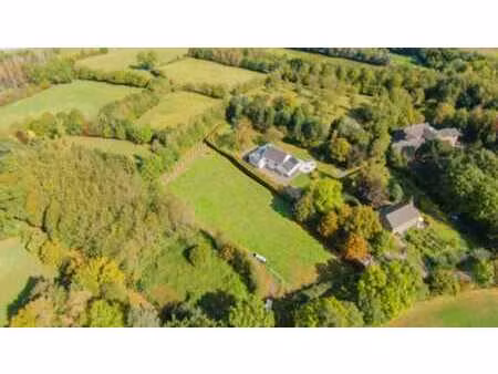 charneux (herve) terrain à bâtir